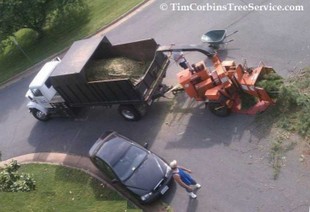 Aerial view from Tim Corbin's Tree Service bucket truck.