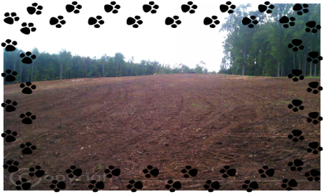 Large lot clearing for site preperation in Northern VA.